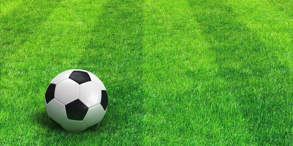 红单聊足球赛事分析界面